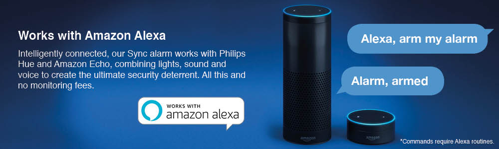 DIY alarm works with Amazon Alexa